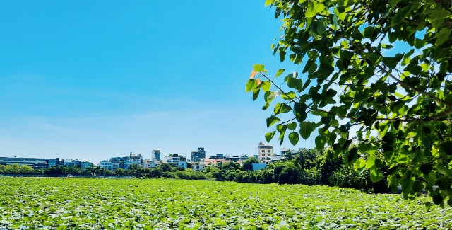 f:id:A-hanoi:20210626000722j:image