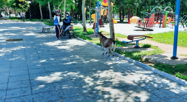 f:id:A-hanoi:20210701084009j:image