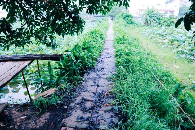 f:id:A-hanoi:20210701120112j:image