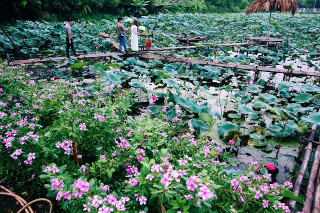 f:id:A-hanoi:20210701120621j:image