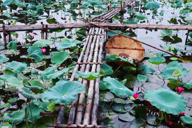 f:id:A-hanoi:20210701120733j:image