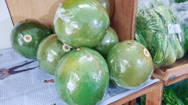 f:id:A-hanoi:20210706193702j:image