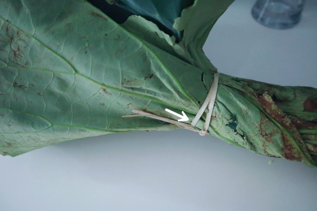 f:id:A-hanoi:20210714145238j:image