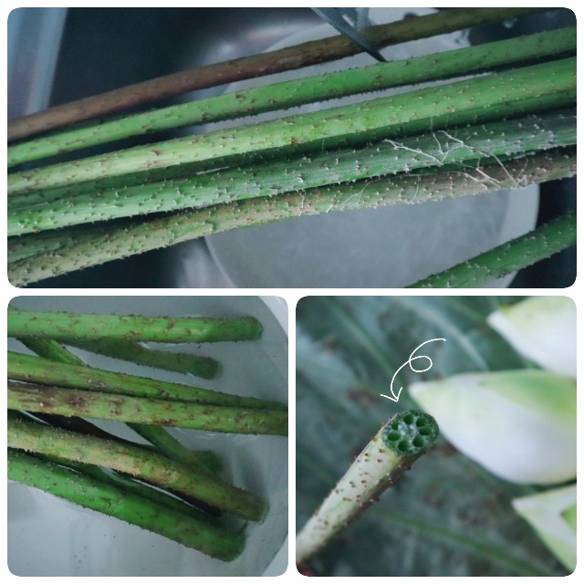 f:id:A-hanoi:20210714145250j:image
