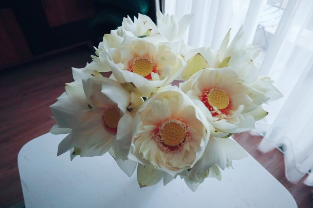 f:id:A-hanoi:20210714145338j:image