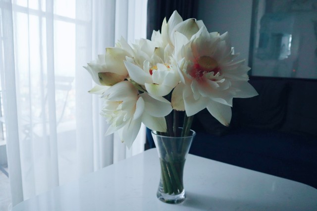f:id:A-hanoi:20210714145346j:image