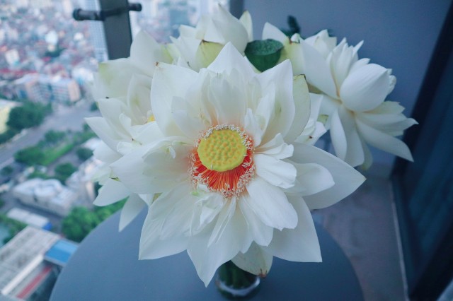 f:id:A-hanoi:20210714145402j:image