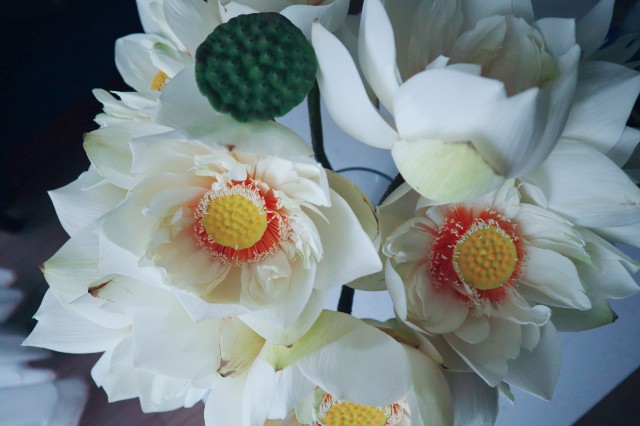 f:id:A-hanoi:20210714145429j:image