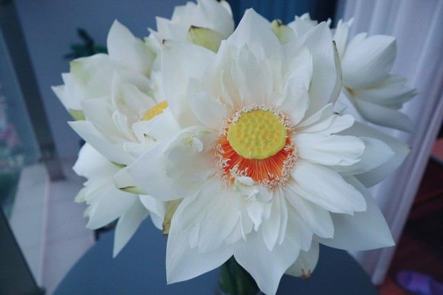 f:id:A-hanoi:20210714145446j:image