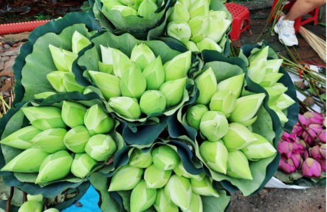 f:id:A-hanoi:20210714145718j:image