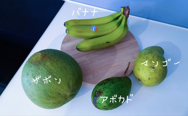 f:id:A-hanoi:20210813112628j:image