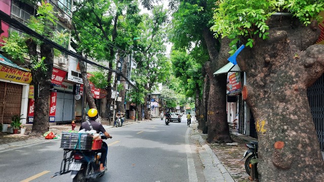 f:id:A-hanoi:20210814181425j:image