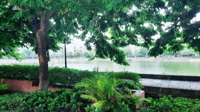 f:id:A-hanoi:20210814182803j:image