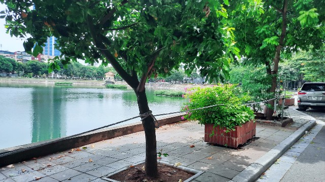 f:id:A-hanoi:20210814182941j:image