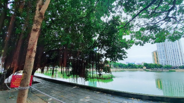 f:id:A-hanoi:20210814183225j:image