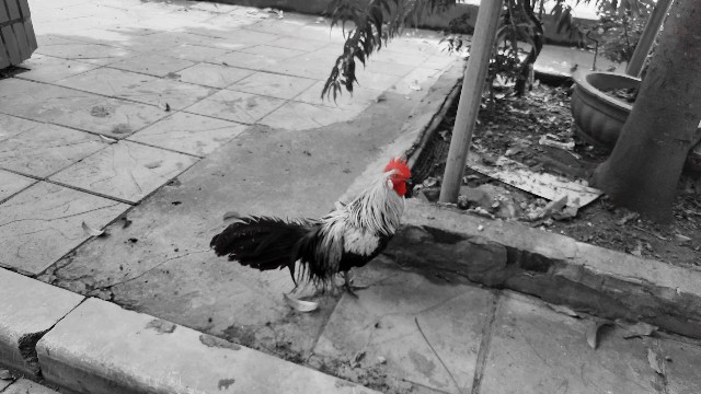 f:id:A-hanoi:20210814183728j:image