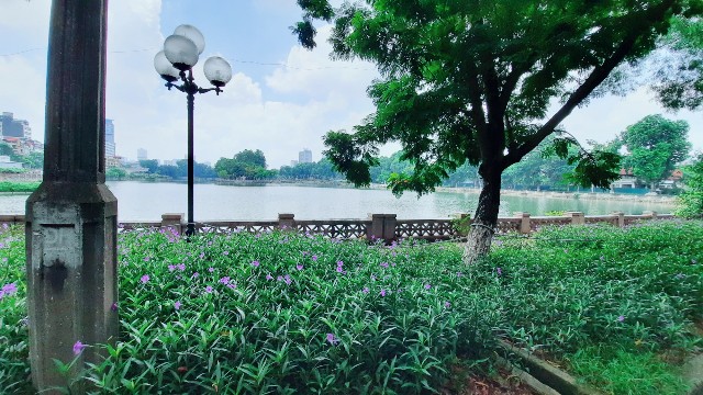 f:id:A-hanoi:20210903133319j:image