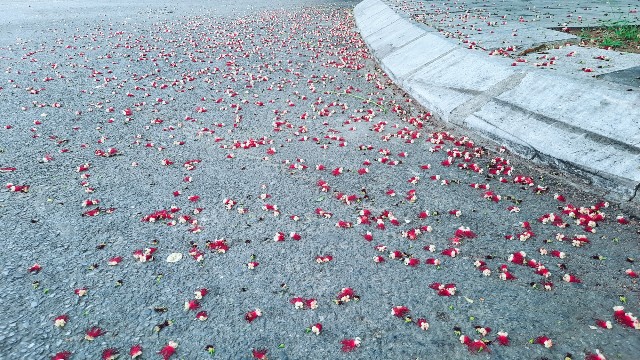 f:id:A-hanoi:20210903134539j:image