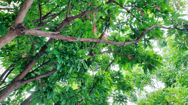 f:id:A-hanoi:20210903163721j:image