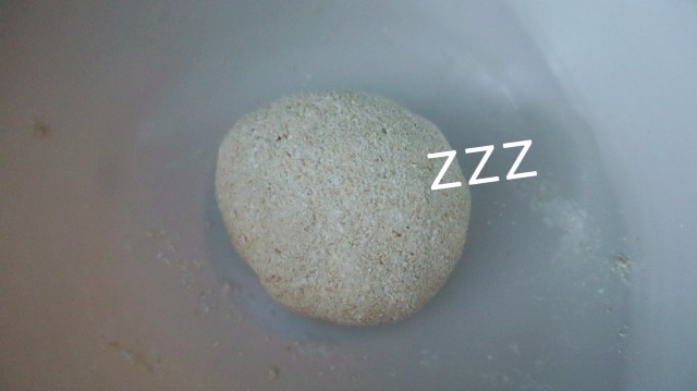 f:id:A-hanoi:20210915101800j:image
