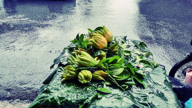 f:id:A-hanoi:20211003234659j:image