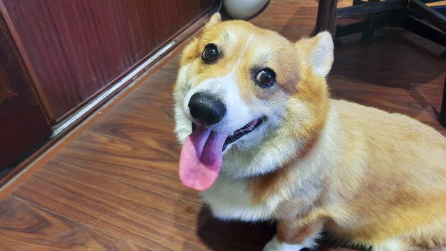 f:id:A-hanoi:20211006184647j:image f:id:A-hanoi:20211006184647j:image