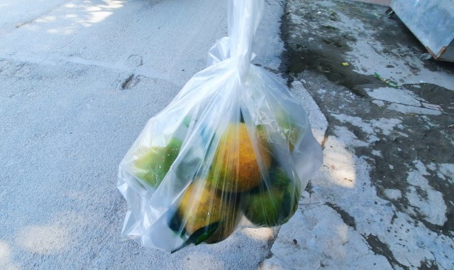 f:id:A-hanoi:20211020174232j:image