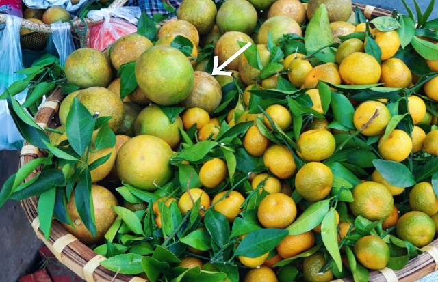 f:id:A-hanoi:20211025210031j:image