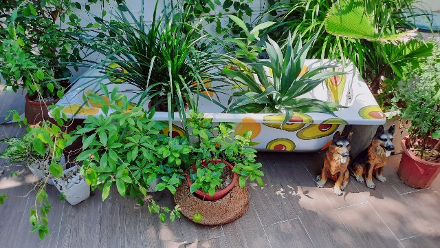 f:id:A-hanoi:20211111155458j:image