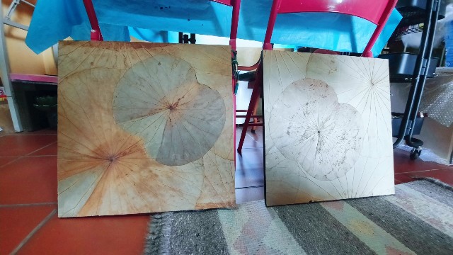f:id:A-hanoi:20211111173754j:image