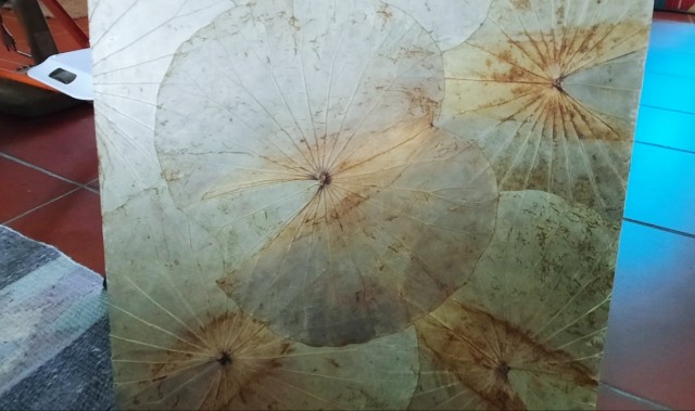 f:id:A-hanoi:20211111175638j:image