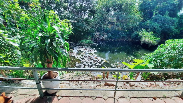 f:id:A-hanoi:20211111175824j:image