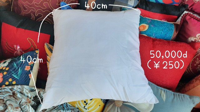f:id:A-hanoi:20211113215850j:image