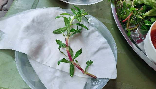 f:id:A-hanoi:20211119172109j:image f:id:A-hanoi:20211119172109j:image