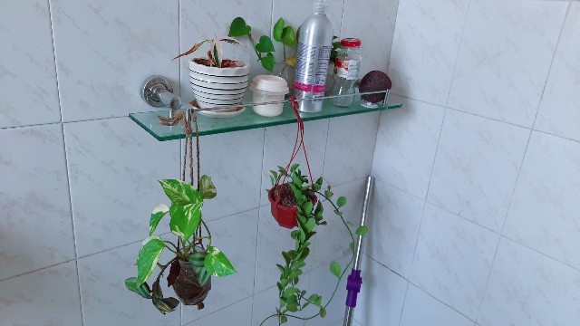 f:id:A-hanoi:20211201191353j:image