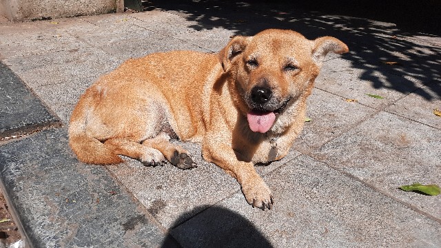 f:id:A-hanoi:20211208105939j:image f:id:A-hanoi:20211208105939j:image