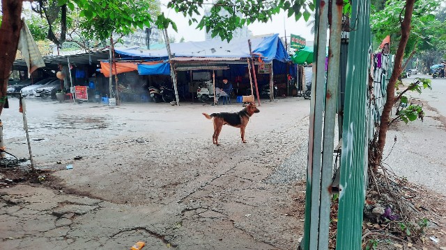 f:id:A-hanoi:20211208183628j:image f:id:A-hanoi:20211208183628j:image