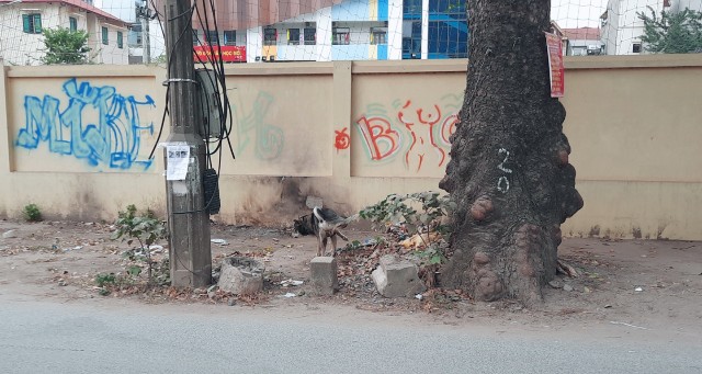 f:id:A-hanoi:20211208183902j:image f:id:A-hanoi:20211208183902j:image