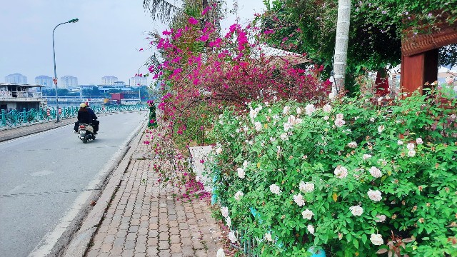 f:id:A-hanoi:20211208201323j:image f:id:A-hanoi:20211208201323j:image