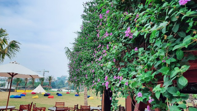 f:id:A-hanoi:20211208202952j:image f:id:A-hanoi:20211208202952j:image