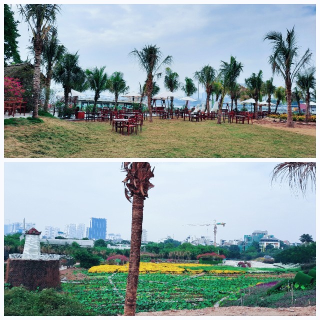 f:id:A-hanoi:20211208203033j:image f:id:A-hanoi:20211208203033j:image