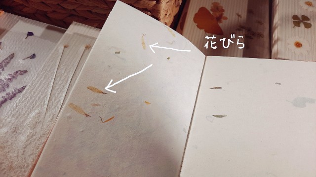 f:id:A-hanoi:20211229232139j:image