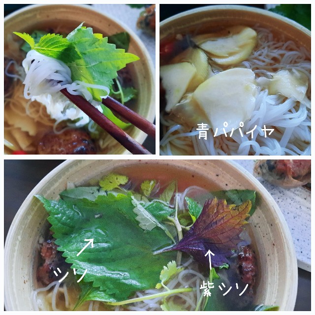 f:id:A-hanoi:20220105191227j:image