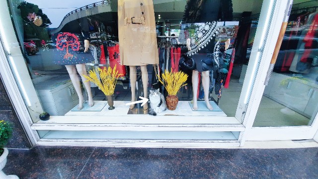 f:id:A-hanoi:20220109202709j:image f:id:A-hanoi:20220109202709j:image
