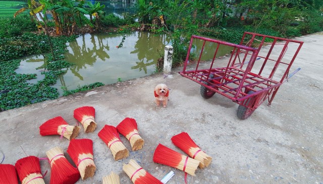 f:id:A-hanoi:20220120213607j:image