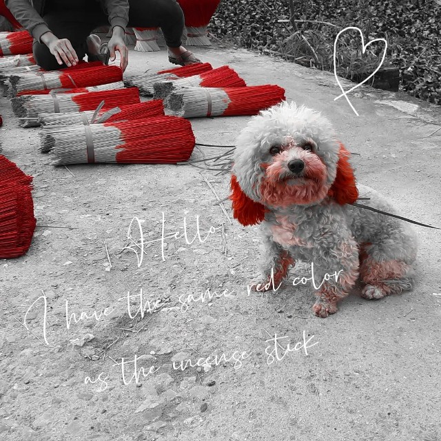 f:id:A-hanoi:20220120213800j:image