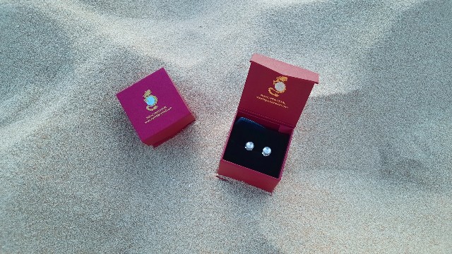 f:id:A-hanoi:20220204184306j:image