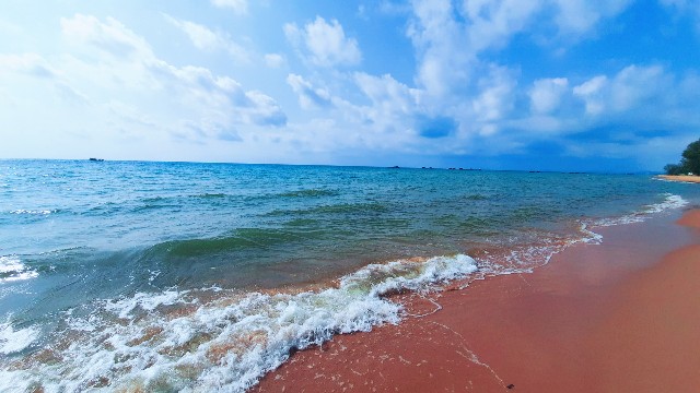 f:id:A-hanoi:20220204190741j:image