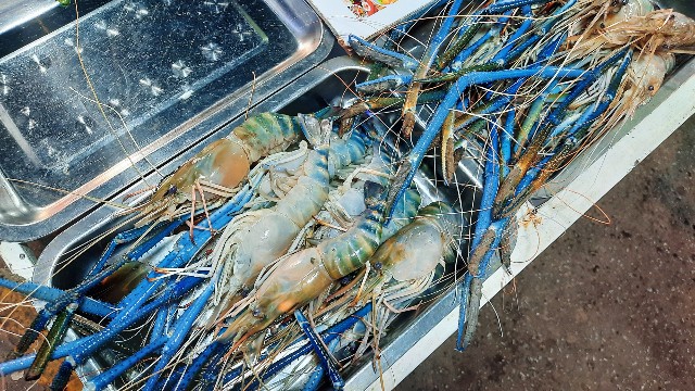 f:id:A-hanoi:20220205163628j:image