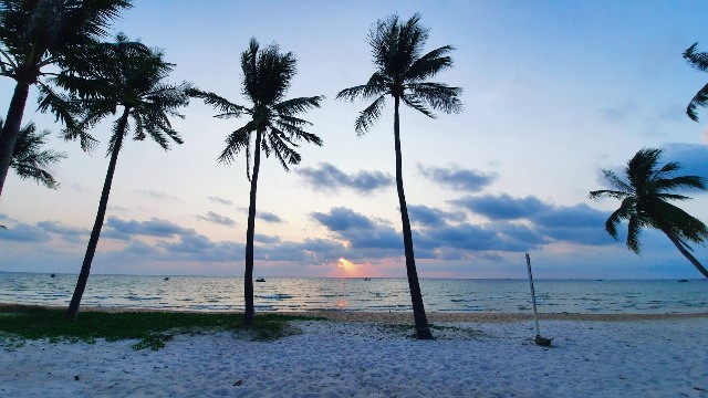 f:id:A-hanoi:20220205171431j:image